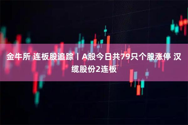 金牛所 连板股追踪丨A股今日共79只个股涨停 汉缆股份2连板