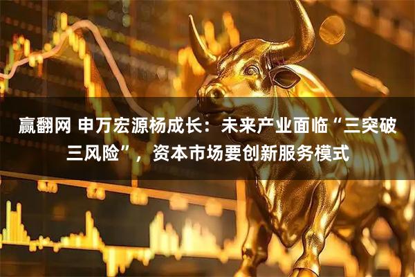 赢翻网 申万宏源杨成长：未来产业面临“三突破三风险”，资本市场要创新服务模式